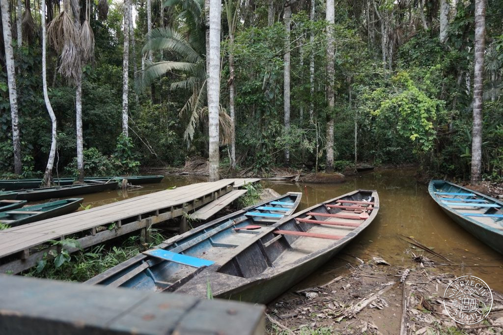 Wyprawa do Rezerwatu Tambopata z lokalną agencją - Amazonia - Peru