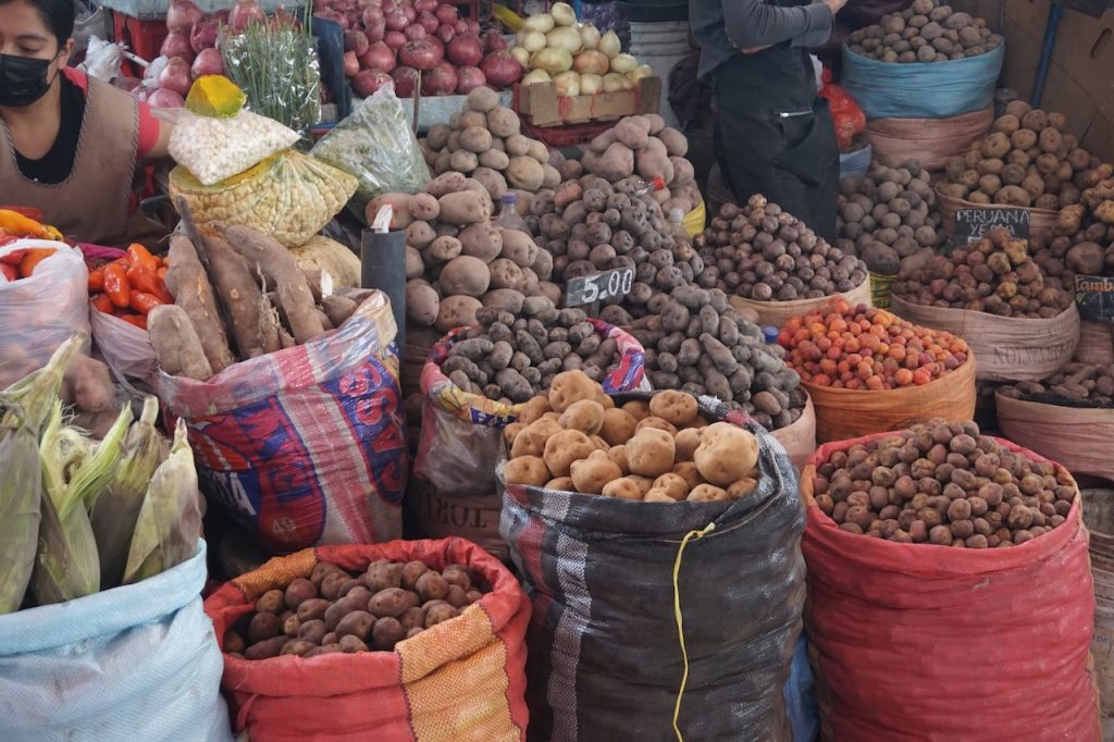 Różne odmiany ziemniaka na targowisku w Peru