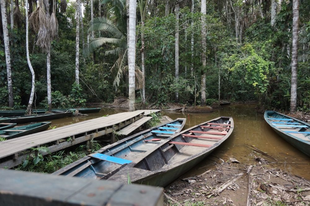 Łódki na jeziorze Lago Sandoval - Amazonia Peru