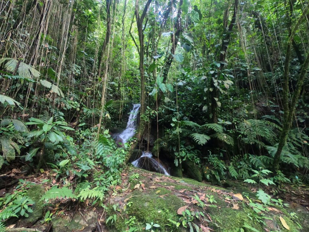 Ciudad Perdida - Kolumbia