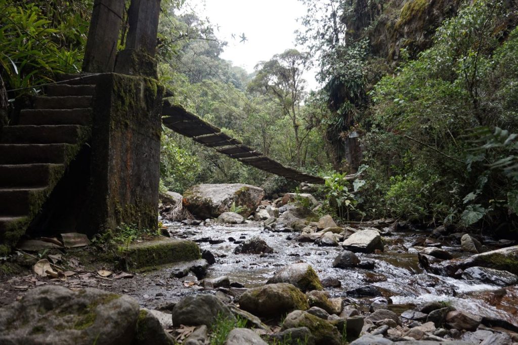 Trekking w Valle de Cocora