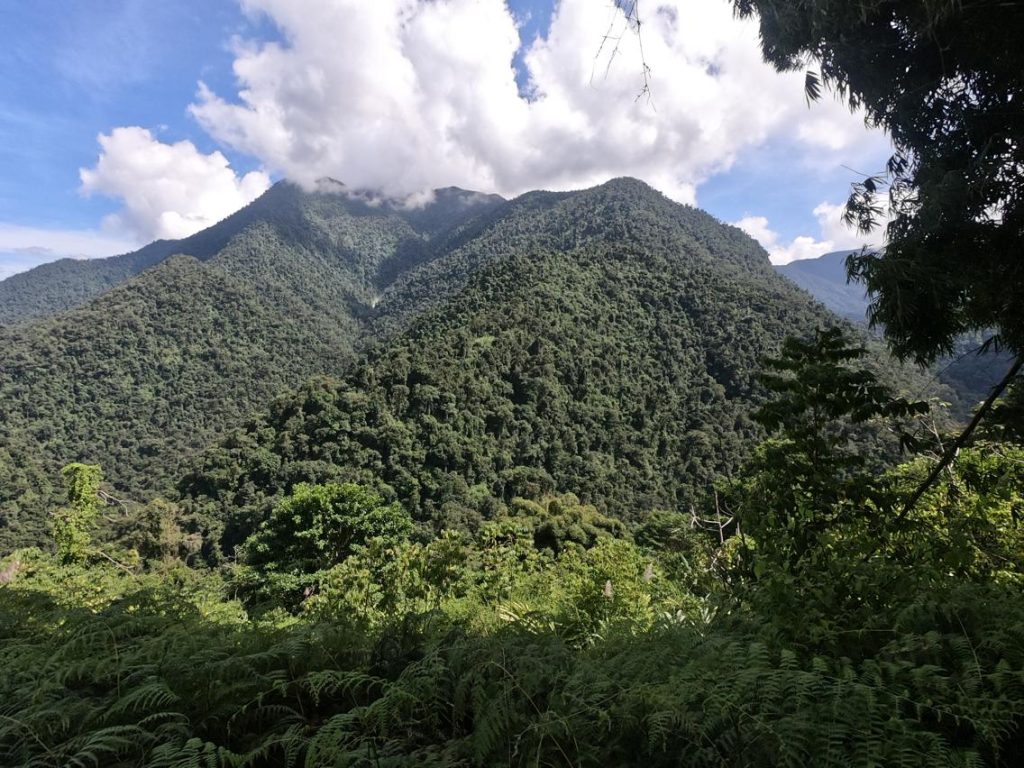Dżungla kolumbijska w drodze do Ciudad Perdida