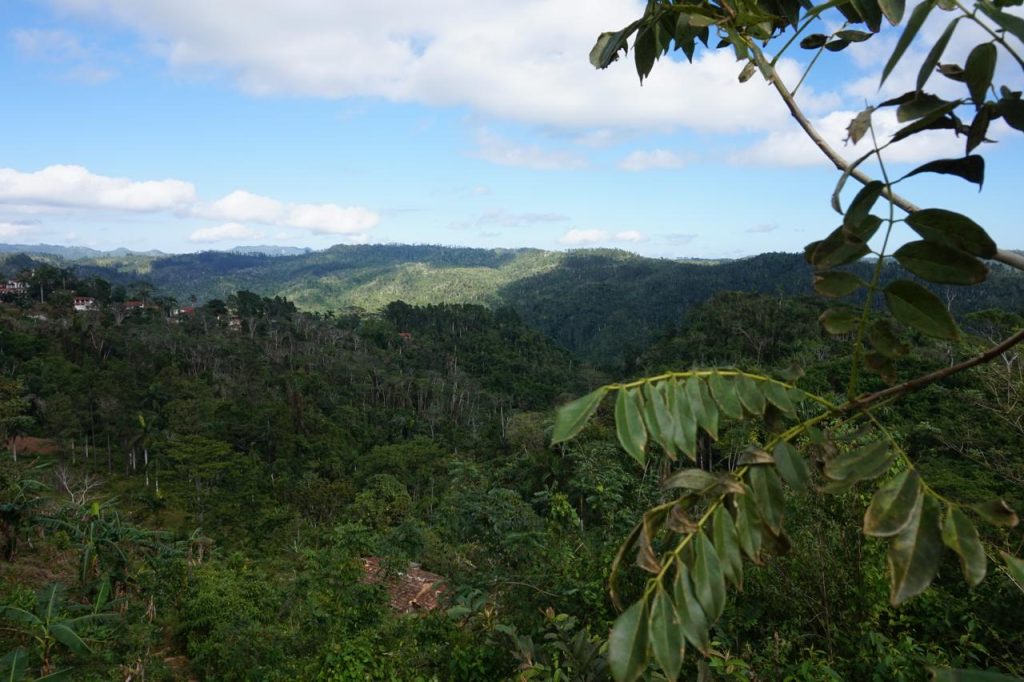 Trekking w okolicach Trinidad