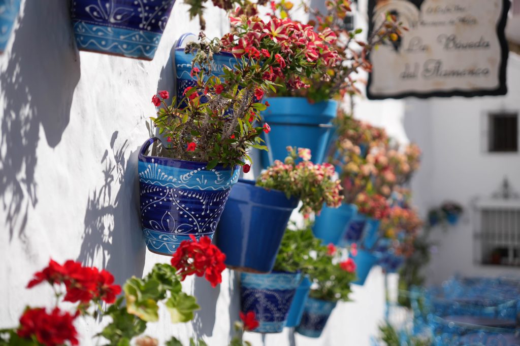Andaluzyjski urok: niebieskie donice z kwiatami w Mijas